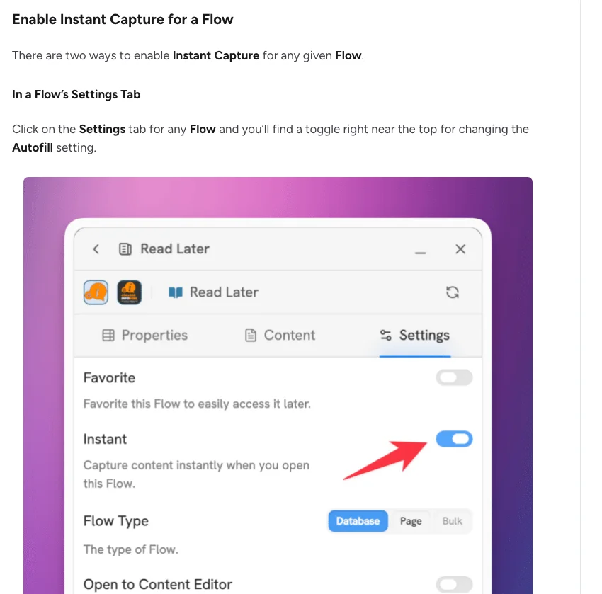Flylighter 官方指南的 Instant Capture 設定畫面